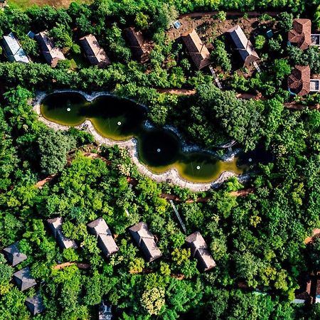 Tendu Leaf Jungle Resort Panna Extérieur photo